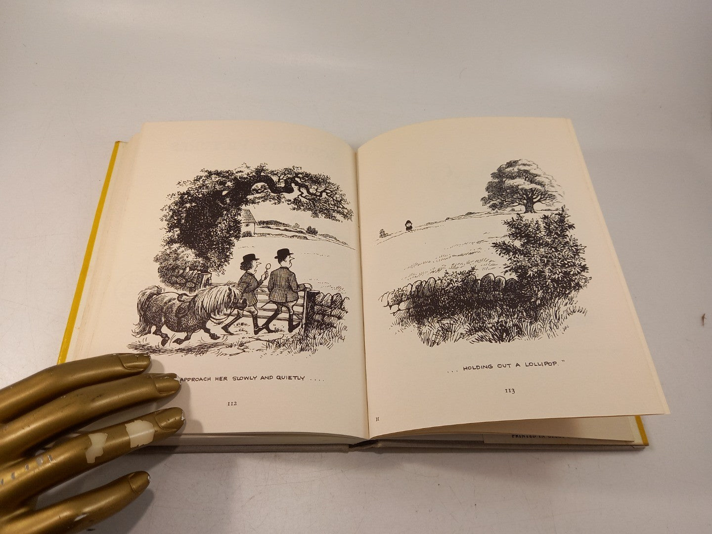24