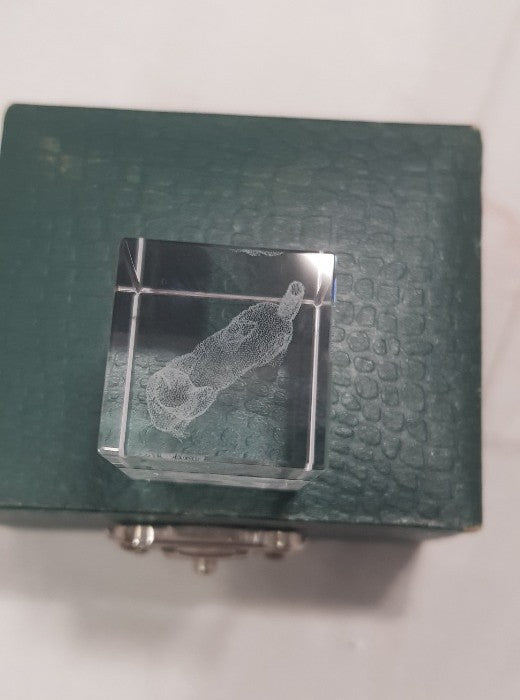 Vintage 3D Laser Etched Cat in Glass with Original Box