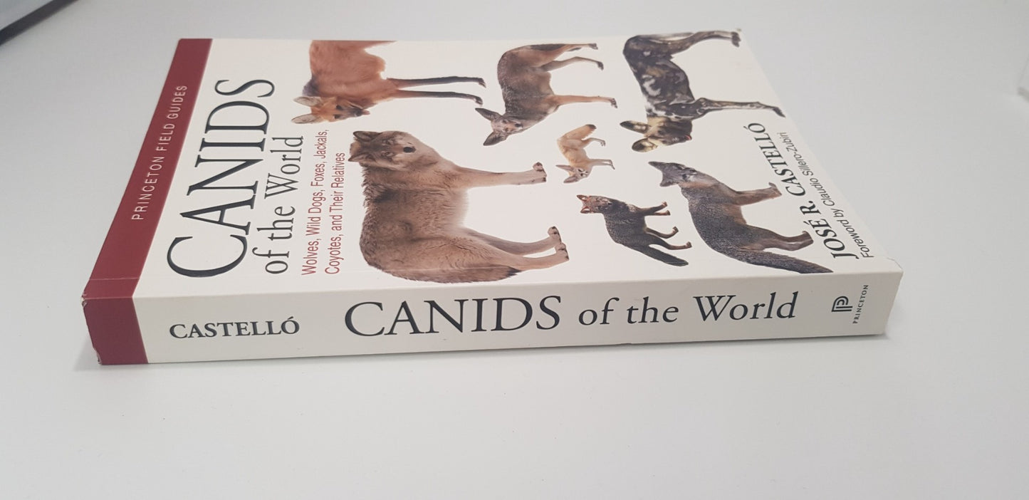 Canids of the World. Jose R Castello VGC