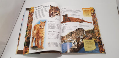 Great Book Of Predatory Animals Prehistoric & Present Day VGC