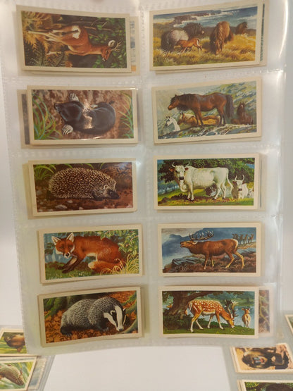 150 Brooke Bond Tea Cards 3x Full Sets Freshwater Fish Wild Life 1960s