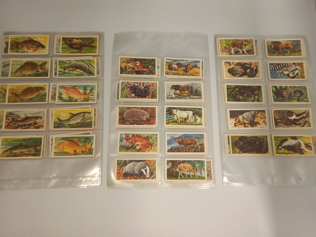 150 Brooke Bond Tea Cards 3x Full Sets Freshwater Fish Wild Life 1960s