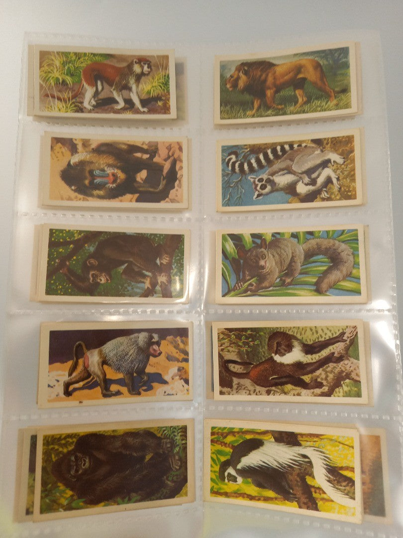 150 Brooke Bond Tea Cards 3x Full Sets Freshwater Fish Wild Life 1960s