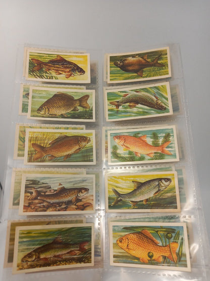 150 Brooke Bond Tea Cards 3x Full Sets Freshwater Fish Wild Life 1960s