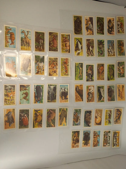 150 Brooke Bond Tea Cards 3x Full Sets Freshwater Fish Wild Life 1960s