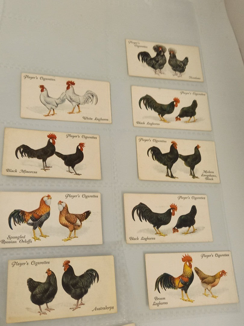Players Cigarettes Poultry Cards Issued 1931 - 48/50 (No. 26 & 49 MISSING)