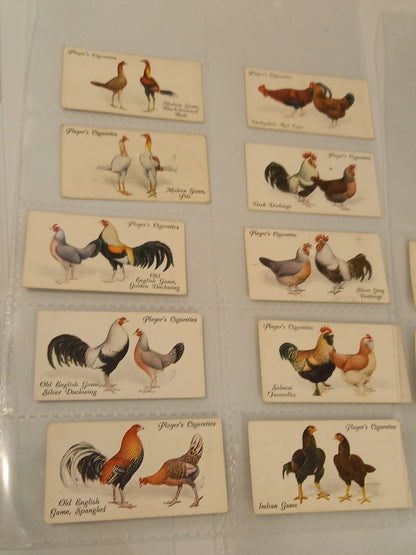 Players Cigarettes Poultry Cards Issued 1931 - 48/50 (No. 26 & 49 MISSING)