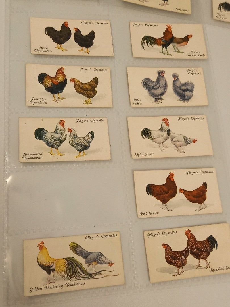 Players Cigarettes Poultry Cards Issued 1931 - 48/50 (No. 26 & 49 MISSING)