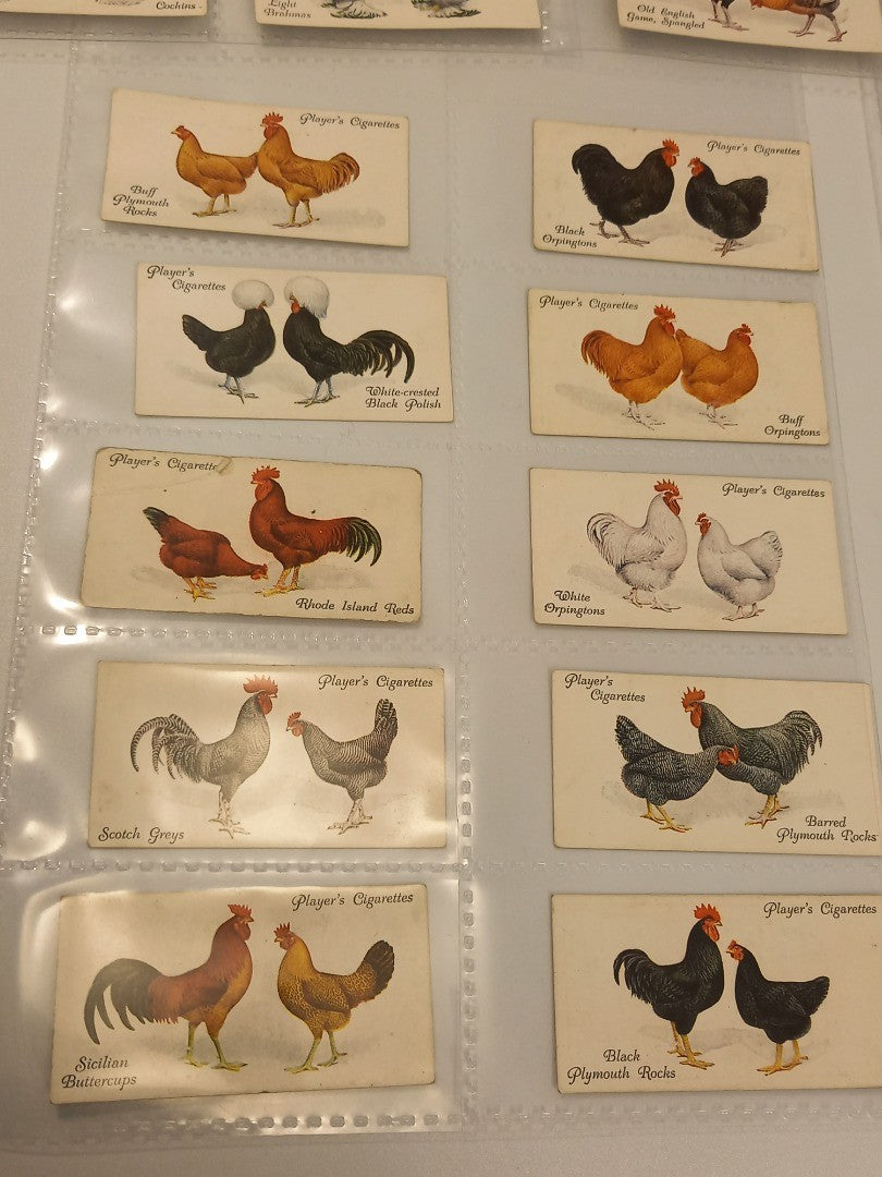Players Cigarettes Poultry Cards Issued 1931 - 48/50 (No. 26 & 49 MISSING)