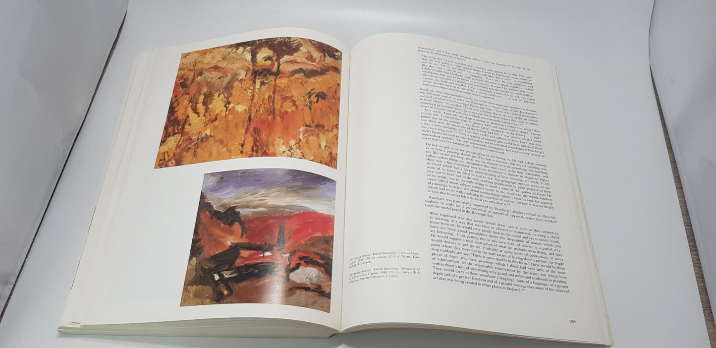 David Bomberg By Richard Cork Paperback in VGC
