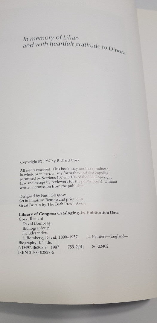 David Bomberg By Richard Cork Paperback in VGC