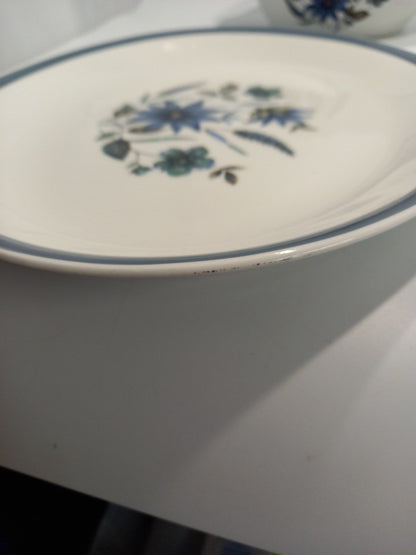Alfred Meakin Countryside Ironstone Pieces, Dinner + Oval Plate, Tureen, and Jug