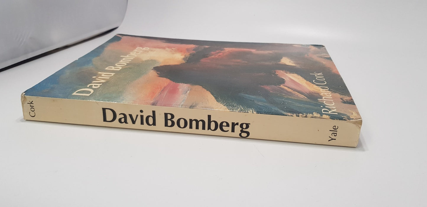 David Bomberg By Richard Cork Paperback in VGC