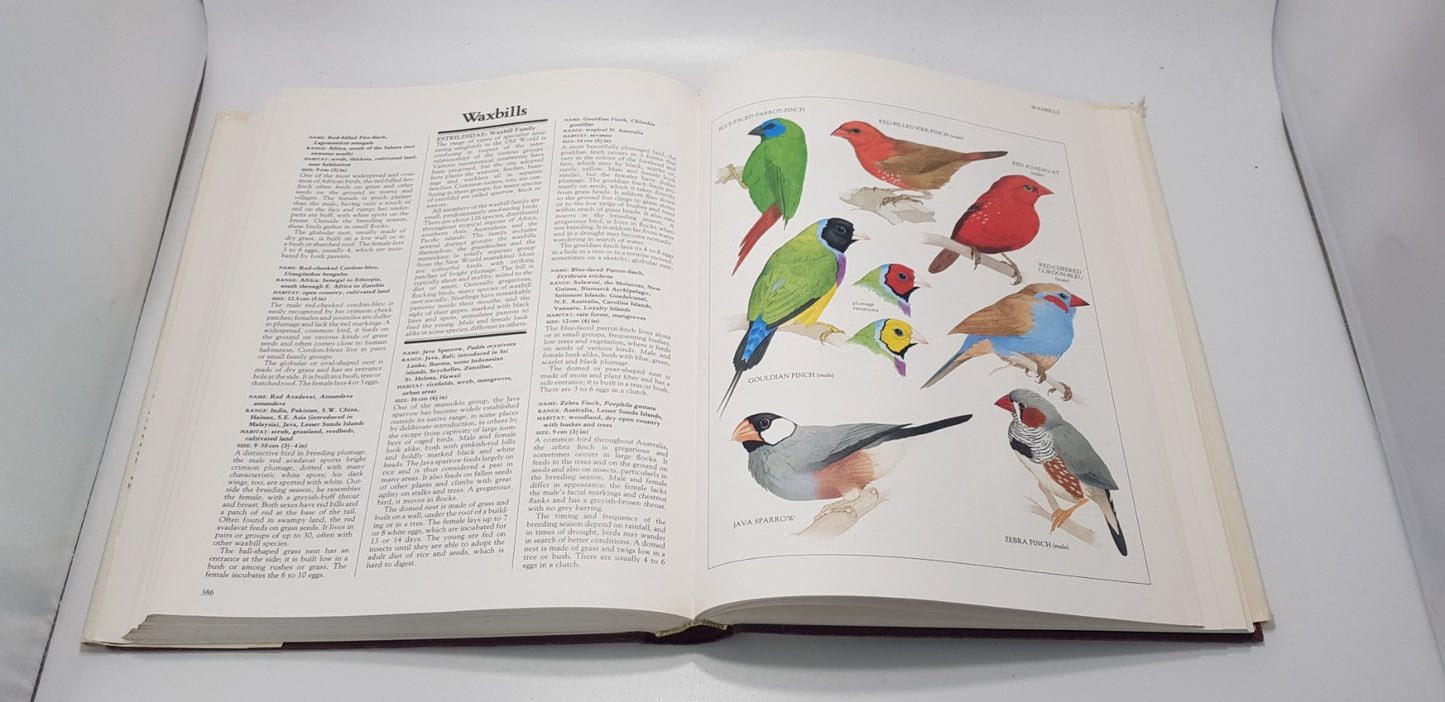 Longman Illustrated Animal Encyclopedia Hardback GC