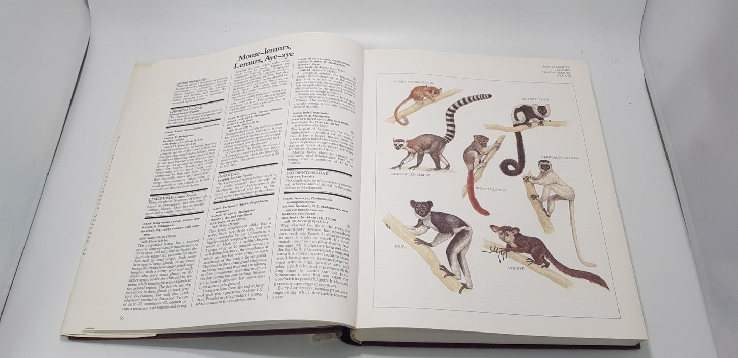 Longman Illustrated Animal Encyclopedia Hardback GC