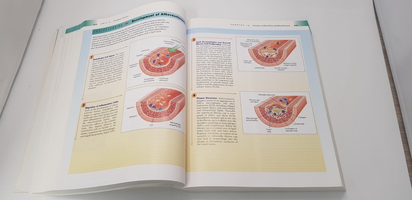 International Edition Essentials of Pathophysiology Book