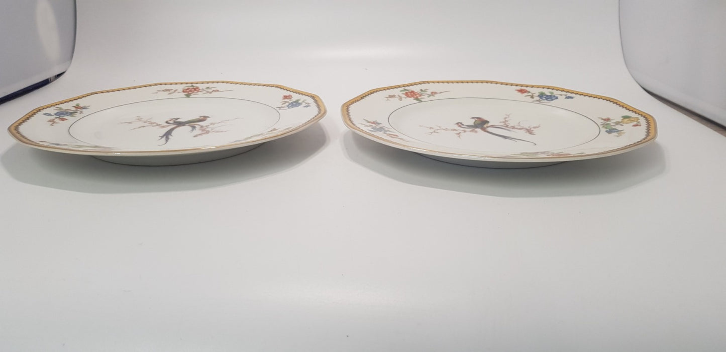 2x Theodore Haviland Limoges Salad Plates Birds of paradise VGC