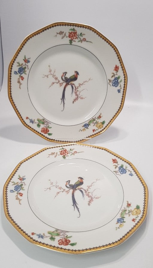 2x Theodore Haviland Limoges Salad Plates Birds of paradise VGC