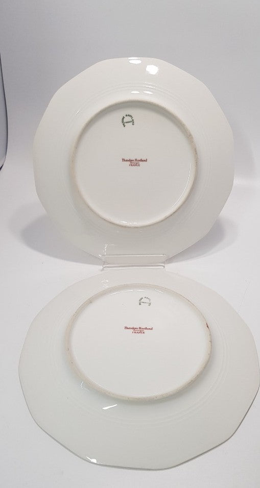 2x Theodore Haviland Limoges Salad Plates Birds of paradise VGC