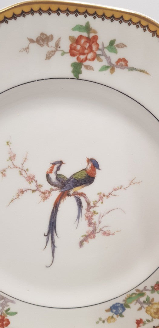 2x Theodore Haviland Limoges Salad Plates Birds of paradise VGC