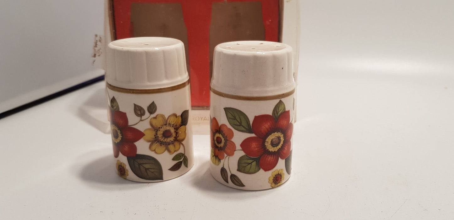 Vintage. Palissy Floral Cruet Salt & Pepper Set in Original Box VGC