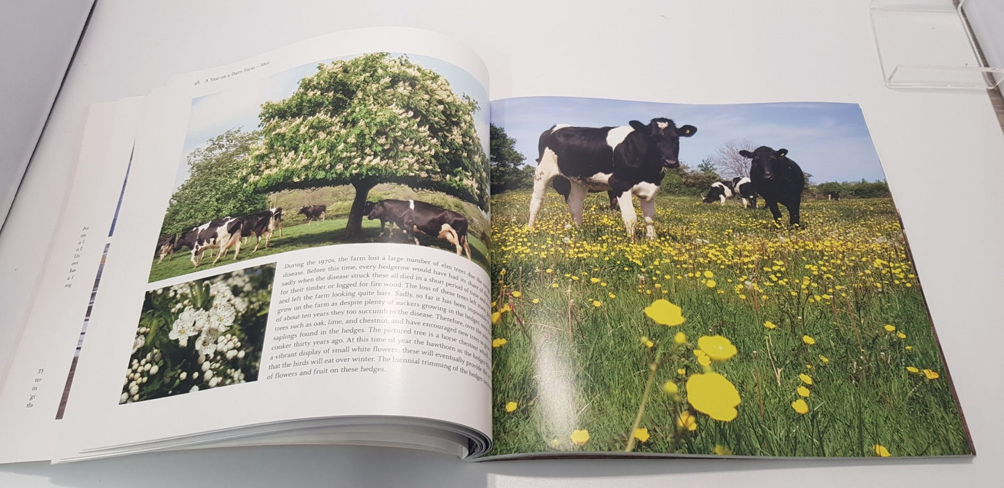 A Year On A Dairy Farm By Richard Cornock Paperback  GC