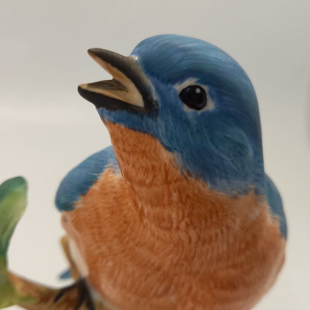 Doris Lindner - Crown Staffordshire Blue Bird on Branch.