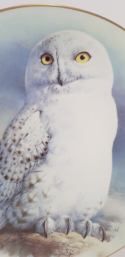 The Snowy Owl Plate By Raymond Watson Limited 1st Ed. Limoges France 1984 VGC