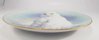 The Snowy Owl Plate By Raymond Watson Limited 1st Ed. Limoges France 1984 VGC