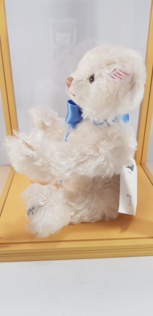 Steiff The Royal Baby Bear George In Case Number 4801 Excellent Condition