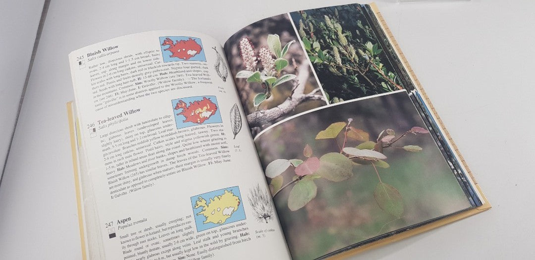 A Guide to the Flowering Plants & Ferns of Iceland By Hordur Kristinsoon Hardback GC