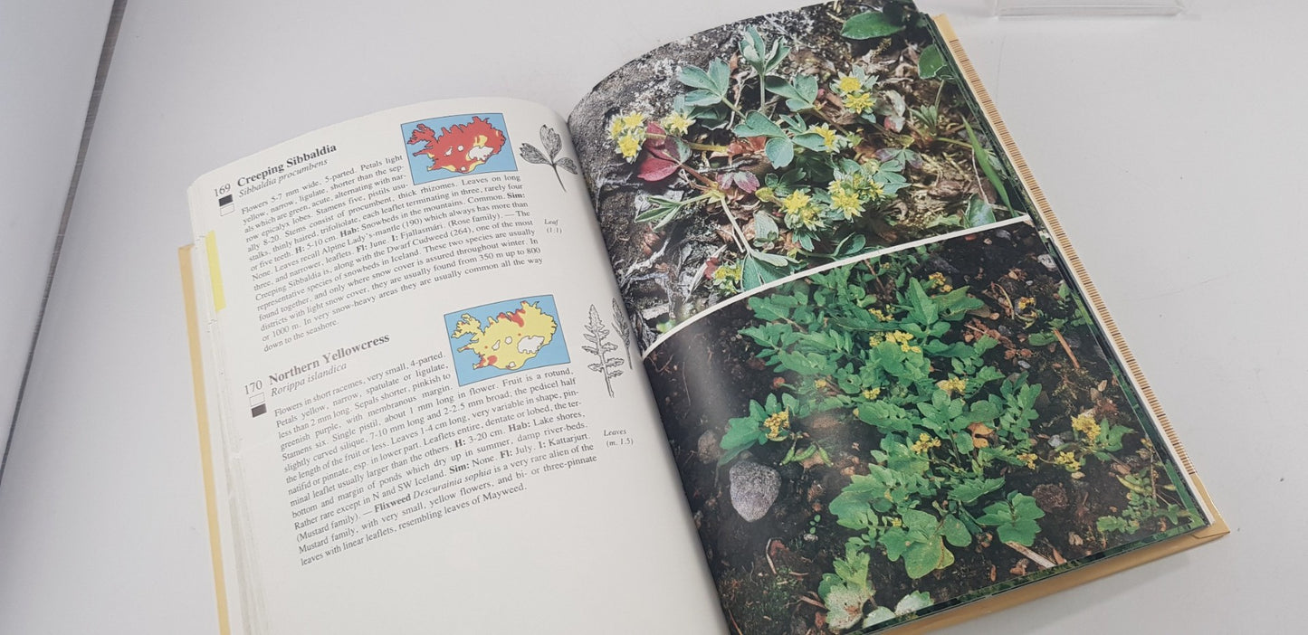 A Guide to the Flowering Plants & Ferns of Iceland By Hordur Kristinsoon Hardback GC