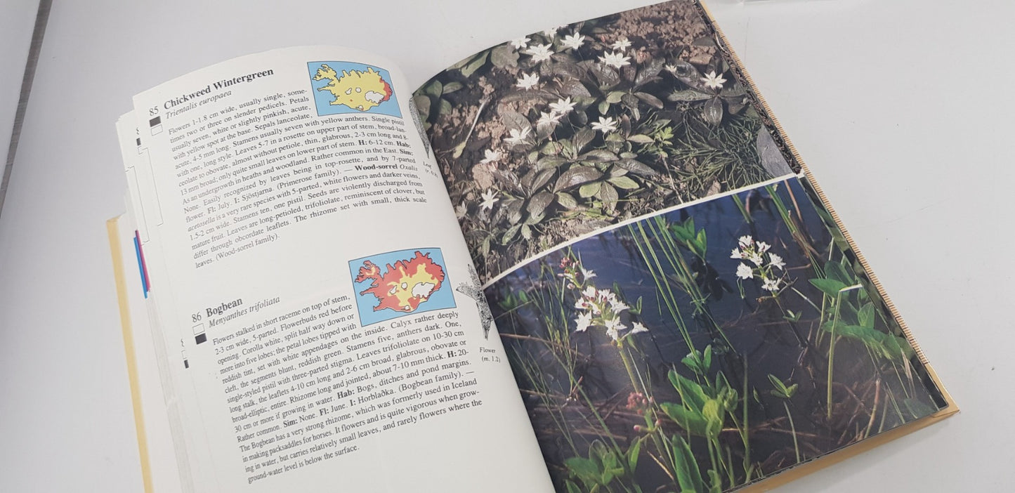 A Guide to the Flowering Plants & Ferns of Iceland By Hordur Kristinsoon Hardback GC