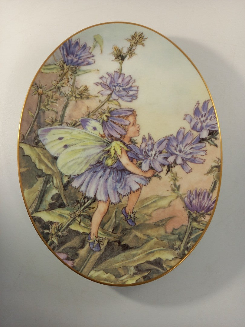 royal worcester plate the chicory fairy flower fairies