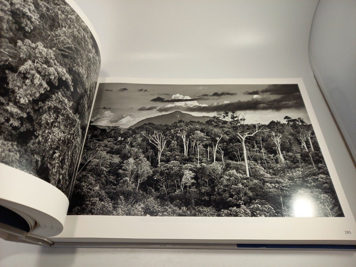 Amazonia By Sebastiao Salgado Hardback Excellent Condition