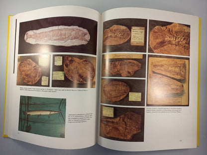 santana fossils book an illustated atlas by john maisey