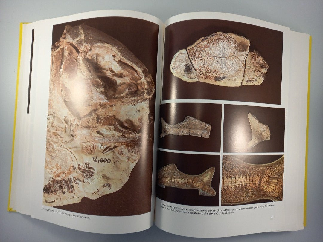 santana fossils book an illustated atlas by john maisey