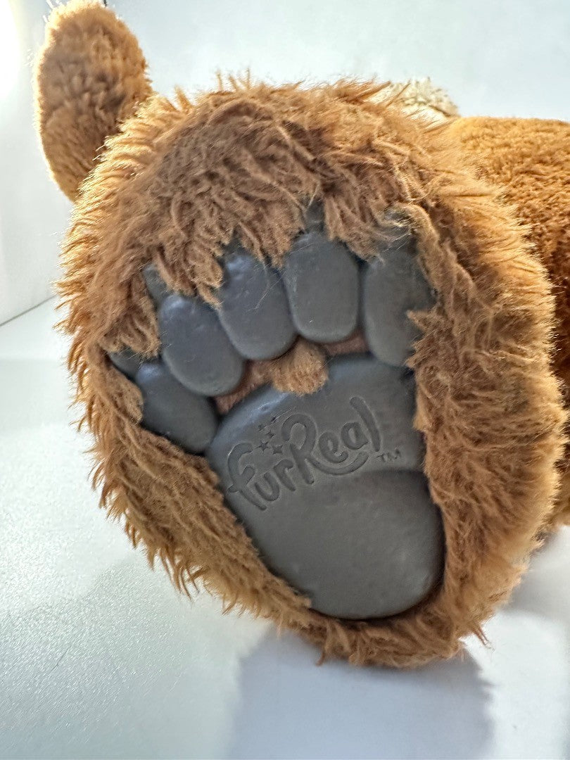 2018 hasbro fur real bear talksand moves