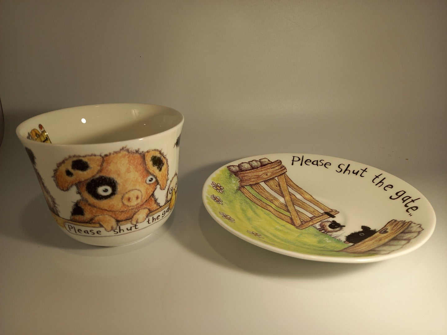 Roy Kirkman Please Shut the Gate Farmyard Fine Bone China Cup & Saucer Set