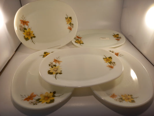 Opaque Floral Pyres Oval Dinner Plates 12" Set of 5 Autumn Glory Vintage Retro VGC