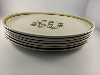 denby dinner plates x6 shammrock green teal brown oval platter size 12.5in x 9in