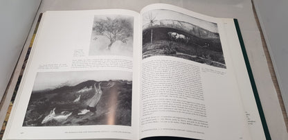The Pre-Raphaelite Landscape Hardcover  by Allen Staley 2001